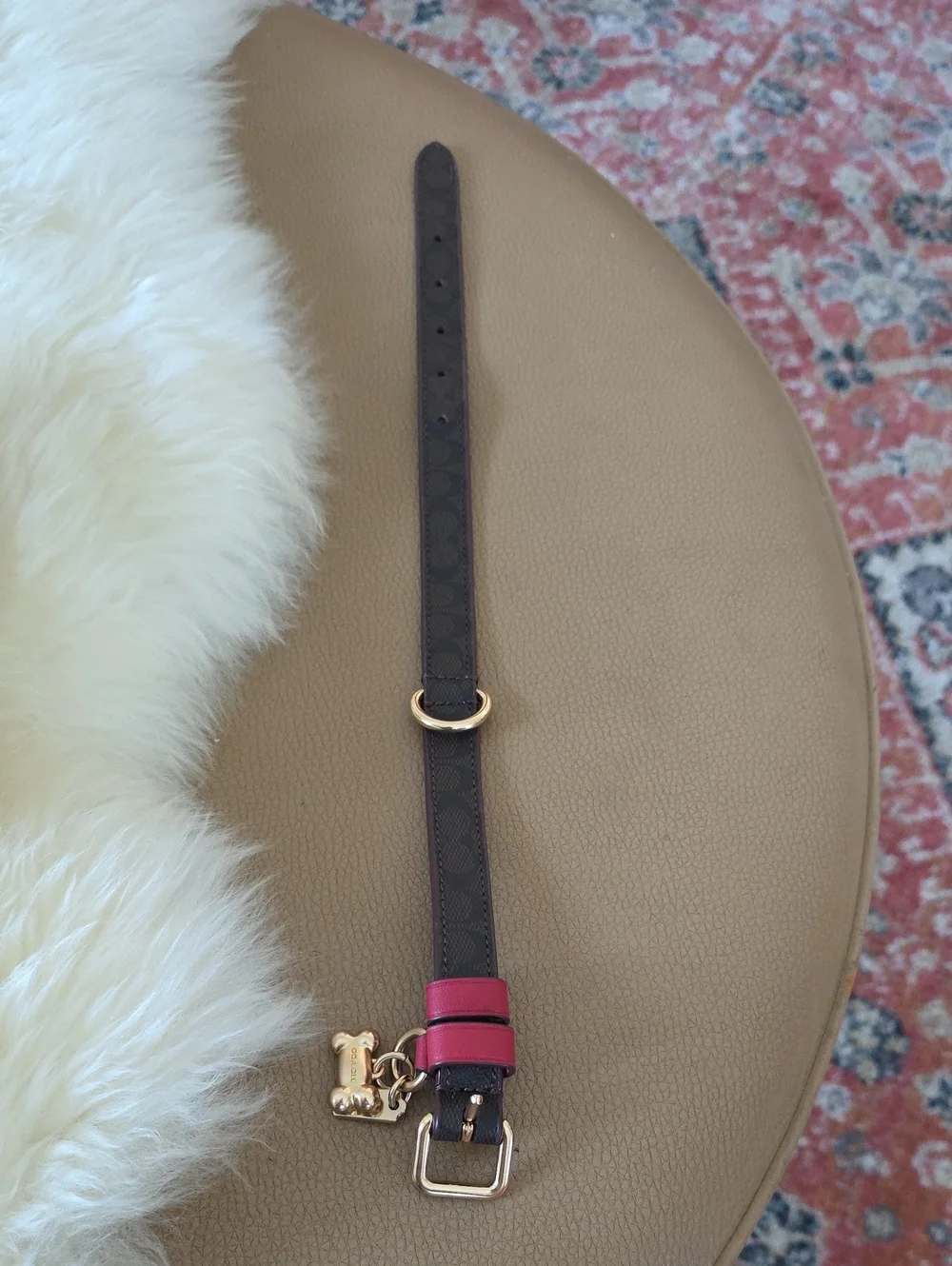 Adorable NWT IOB Coach Brown Signature Small Dog Collar 🤎🍖🖤🐕♥️🐾🎁